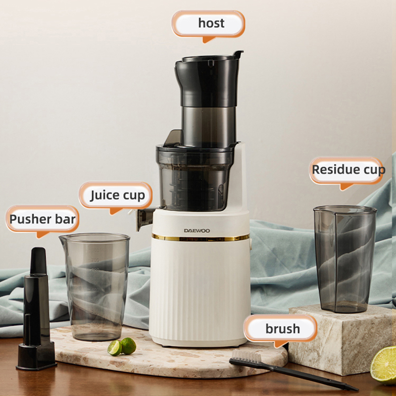Electric Slow Juicer Cold Press - Taşınabilir Blender Elektrikli Yavaş Sıkacağı -